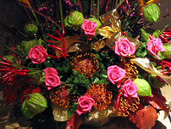d0085371_431264.jpg