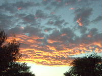 f0052071_15331330.jpg