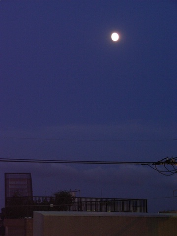 a0043982_23471120.jpg