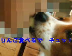 c0075585_2327348.jpg