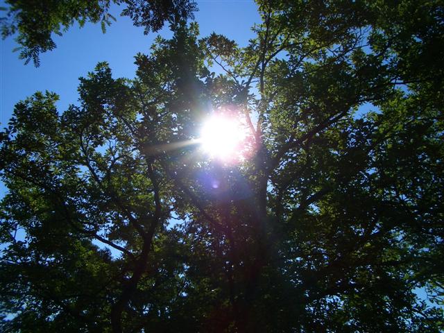f0089386_21293613.jpg