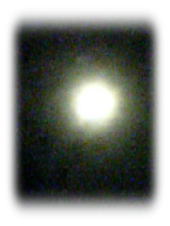 f0008692_23332756.jpg