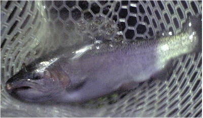 d0026200_2365622.jpg