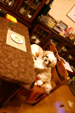 c0011204_22354889.jpg