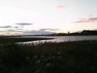 f0105504_17493337.jpg