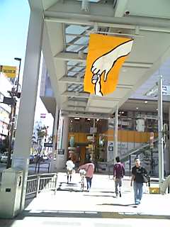 a0021608_2332977.jpg