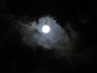 a0041508_22353897.jpg