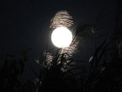 b0053414_22171264.jpg
