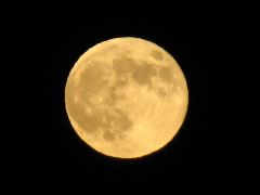 b0053414_22173227.jpg