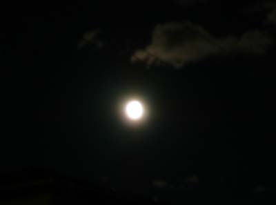 f0059818_22265724.jpg