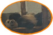 e0047322_20302765.jpg