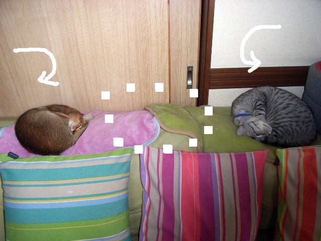 d0081025_1835556.jpg