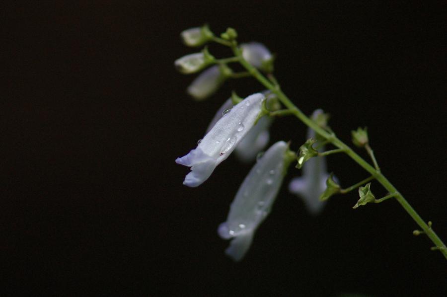 b0039226_5573250.jpg