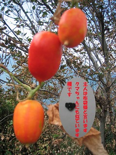 a0070029_1420335.jpg