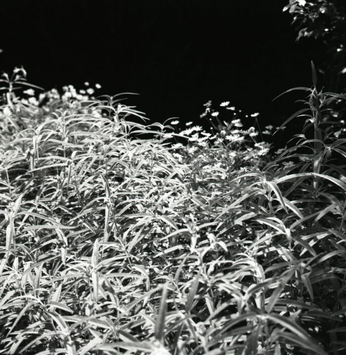 f0072829_2202578.jpg