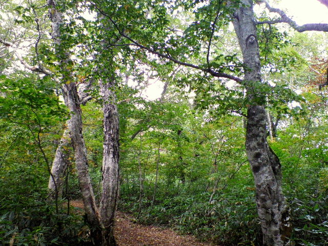 e0064133_2248441.jpg