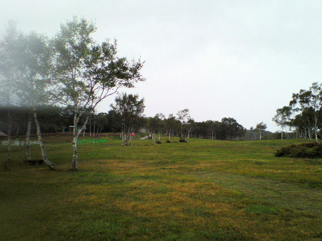 e0064133_22492551.jpg