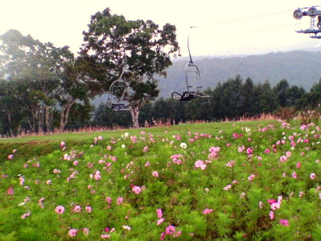 e0064133_22503130.jpg