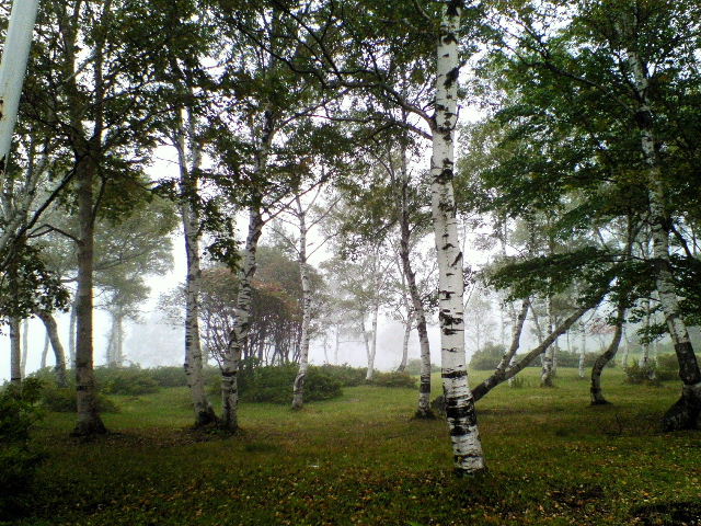 e0064133_22522889.jpg