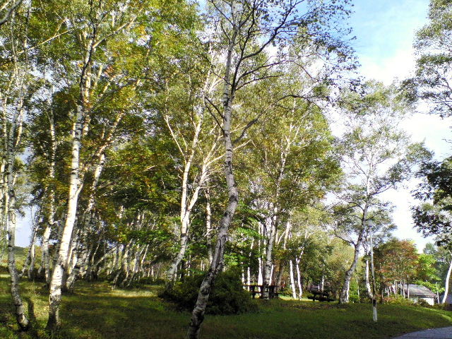 e0064133_22545078.jpg