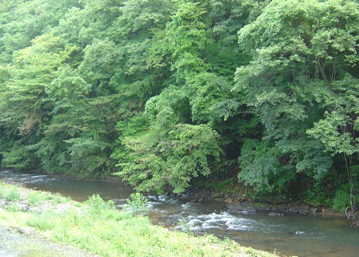 d0088735_17191299.jpg