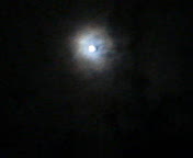 d0007037_22133751.jpg