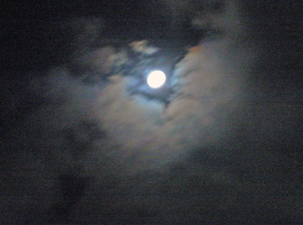 e0024944_9194256.jpg