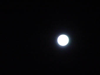 a0007651_2896.jpg