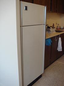 c0081257_544250.jpg