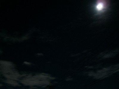f0104057_22445267.jpg