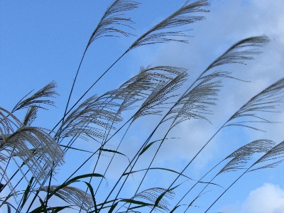 f0104057_22544810.jpg