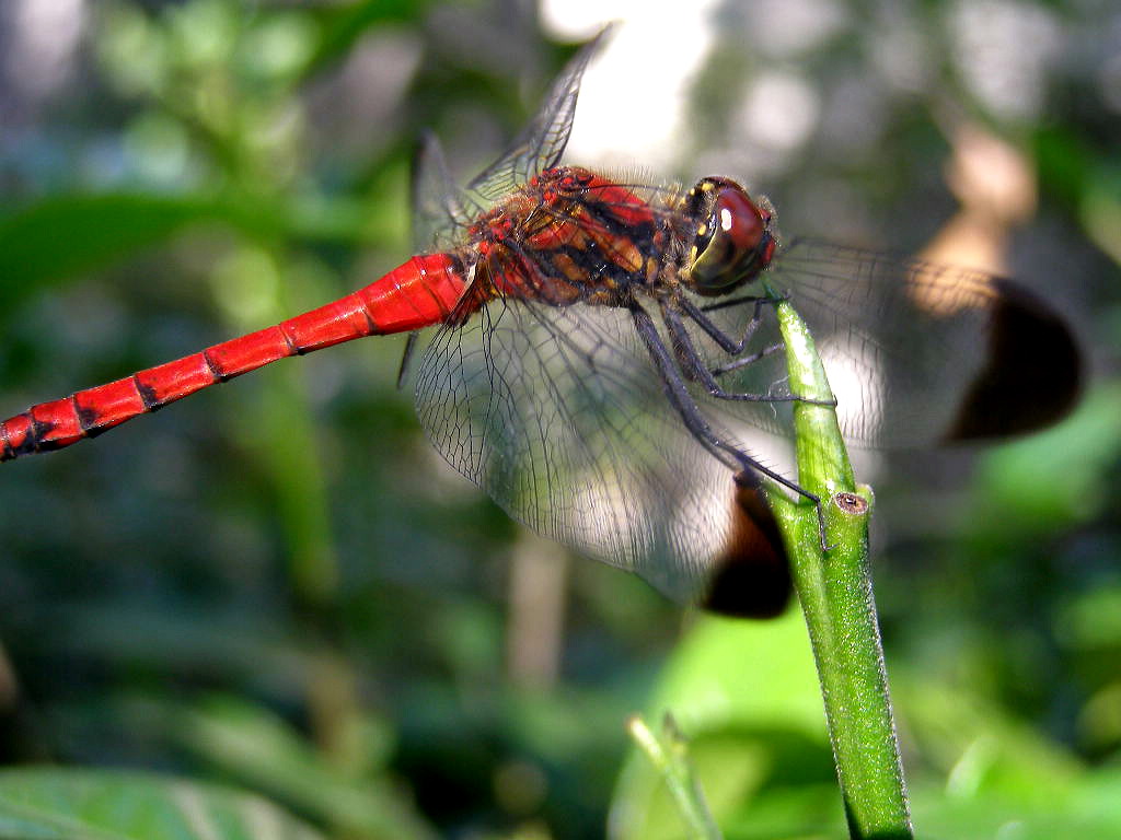 e0064158_0494447.jpg