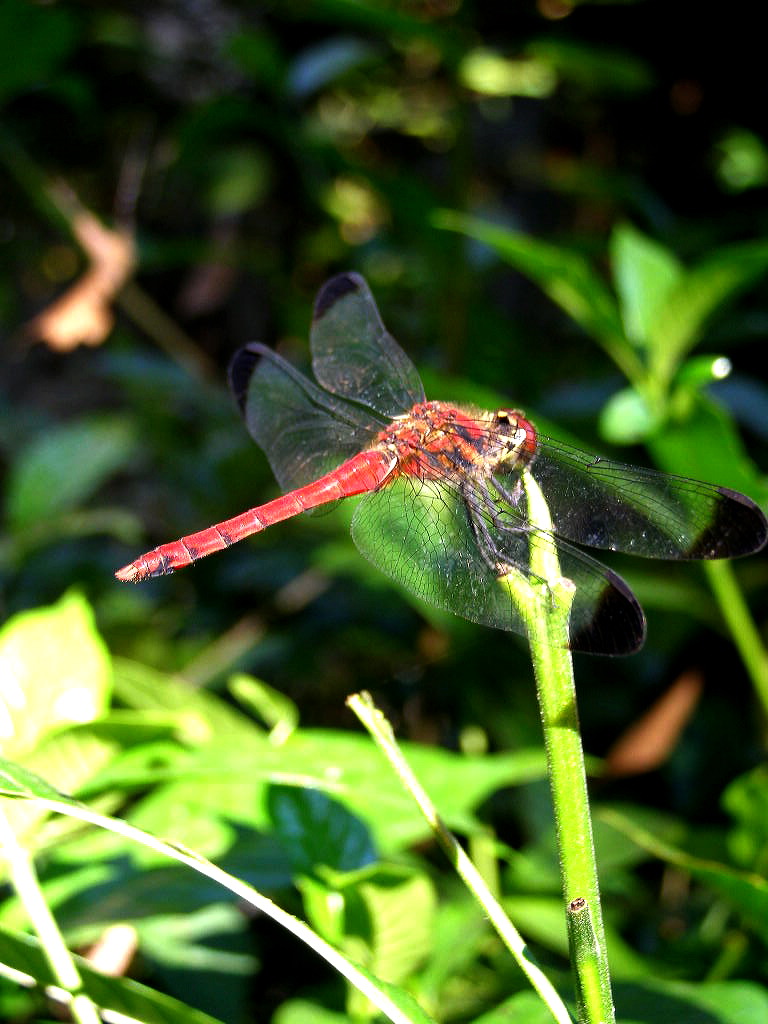 e0064158_0503739.jpg