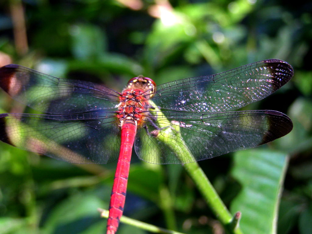 e0064158_0505262.jpg