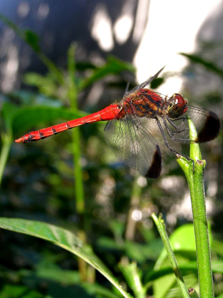 e0064158_0512228.jpg