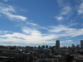 d0034659_2337180.jpg