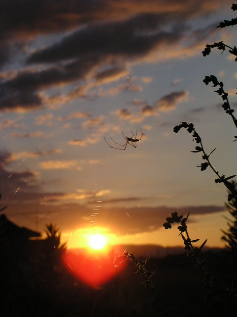 f0074659_2147617.jpg