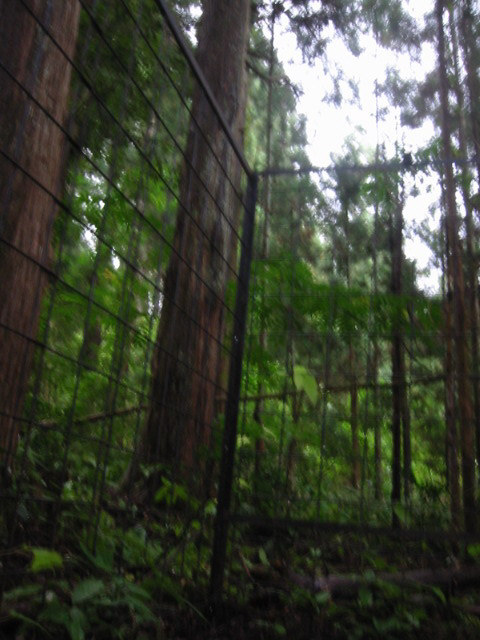 d0094868_1605581.jpg