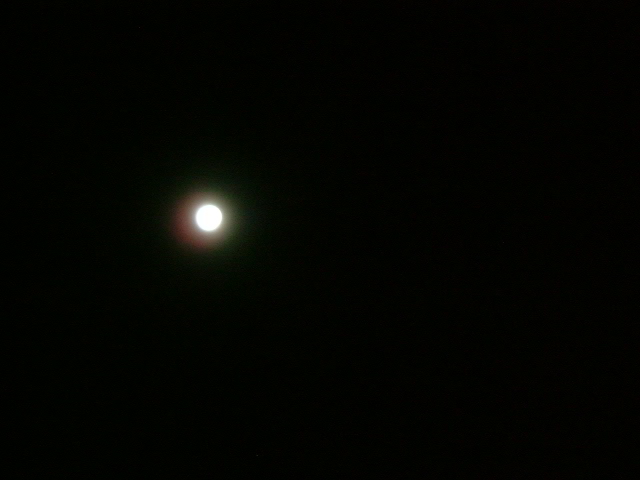 e0078071_20565219.jpg