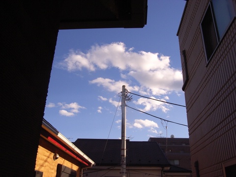 a0043982_23564231.jpg