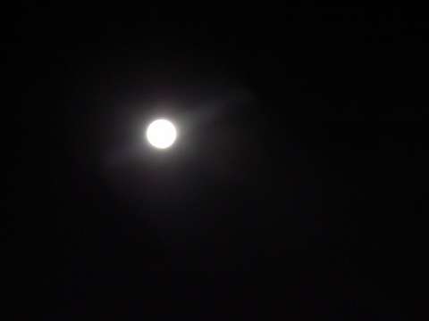 a0043982_23565071.jpg
