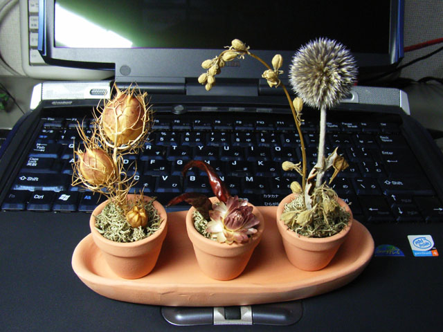 c0000391_23522448.jpg
