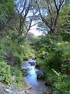 b0017892_12405965.jpg