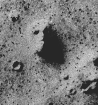c0013092_2253278.jpg