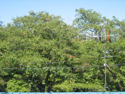 d0021097_0483041.jpg