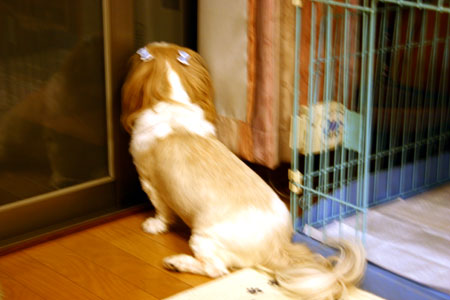 c0011204_22563771.jpg