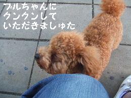 a0007906_7165010.jpg