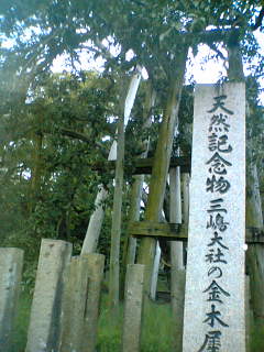 c0032006_2331359.jpg