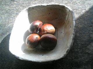 f0092906_2394537.jpg