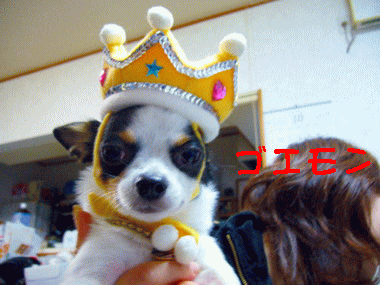 e0032508_23582729.gif